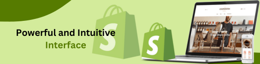 Shopify Interface