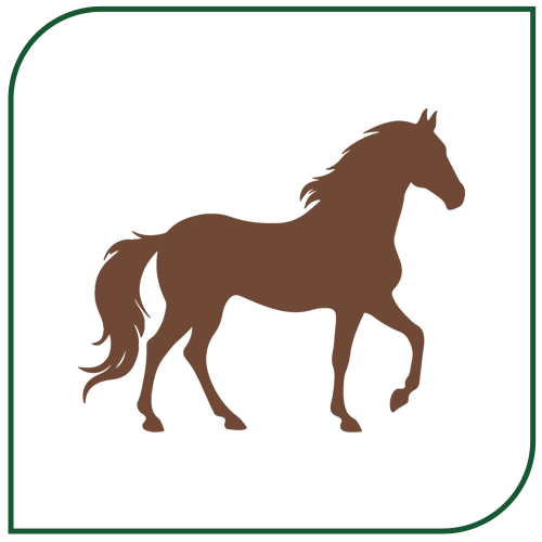 Feature 3